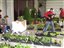 Foire aux plantes Blegnymine 2007